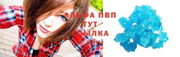 молекула духа Богданович
