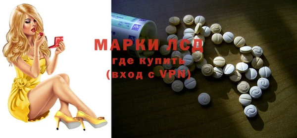 молекула духа Богданович