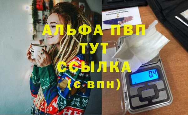 PSILOCYBIN Белая Холуница