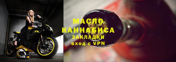молекула духа Богданович