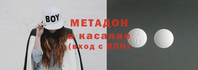 молекула духа Богданович