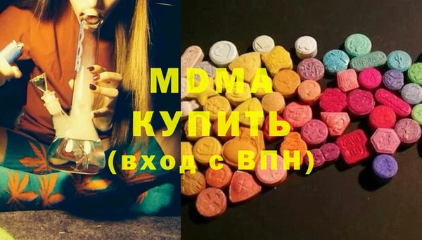 молекула духа Богданович