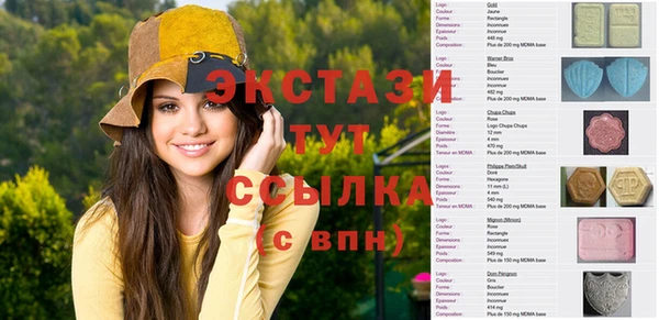 молекула духа Богданович