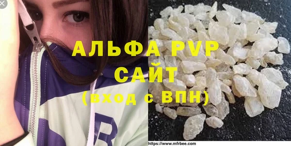 молекула духа Богданович