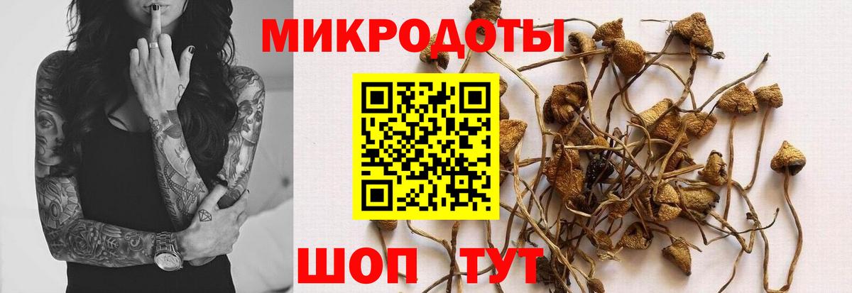 Горно-Алтайск  Псилоцибиновые грибы ЛСД  Псилоцибиновые грибы Psilocybine cubensis  Вход с VPN 