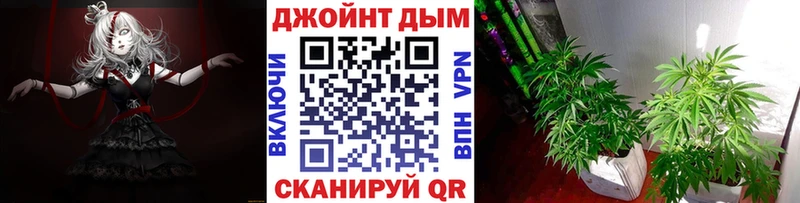 shop клад  Горно-Алтайск  Бошки марихуана конопля  наркотики 